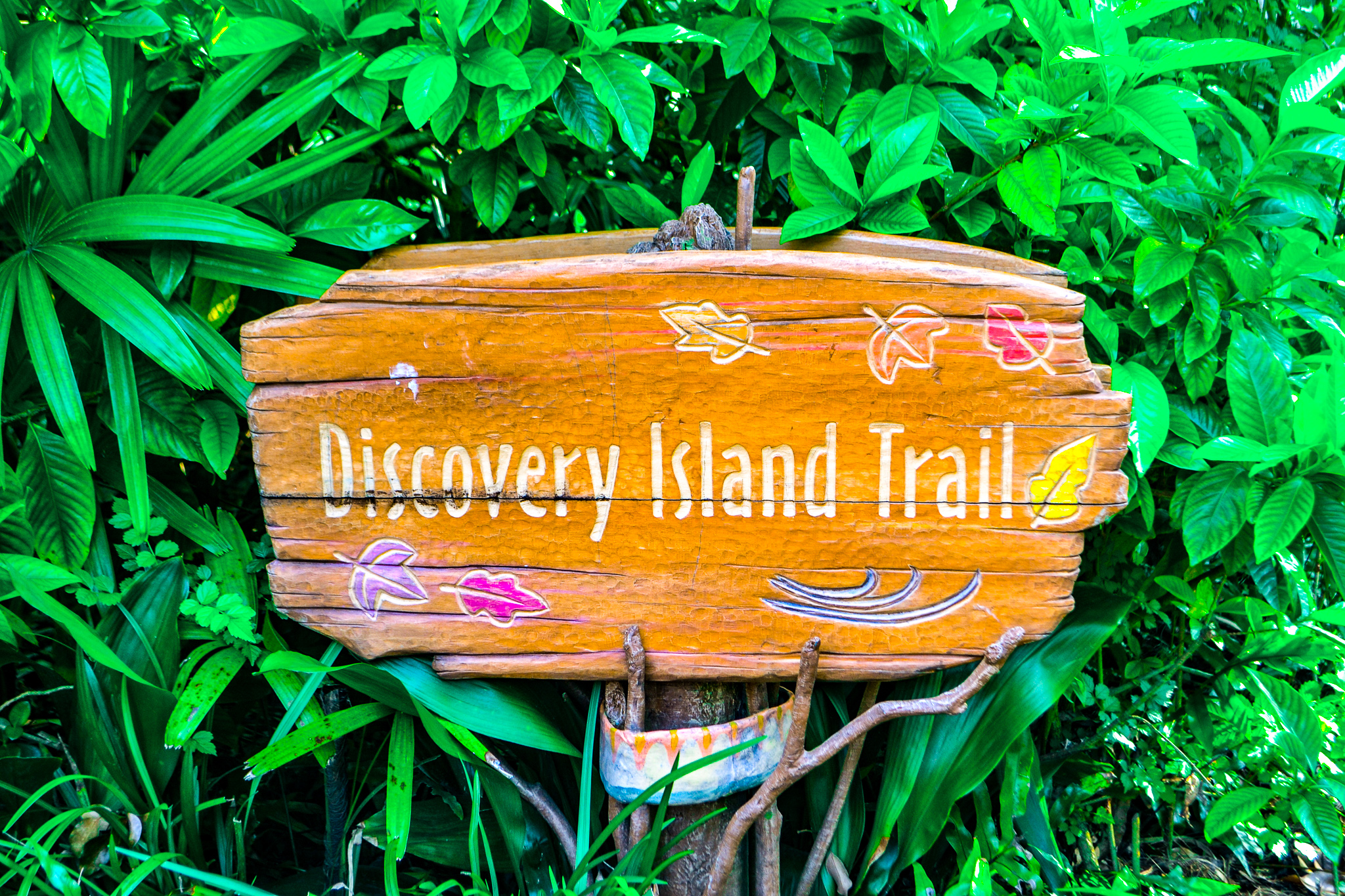 Discovery Island Trail Entrance Sign in Disney's Animal Kingdom
