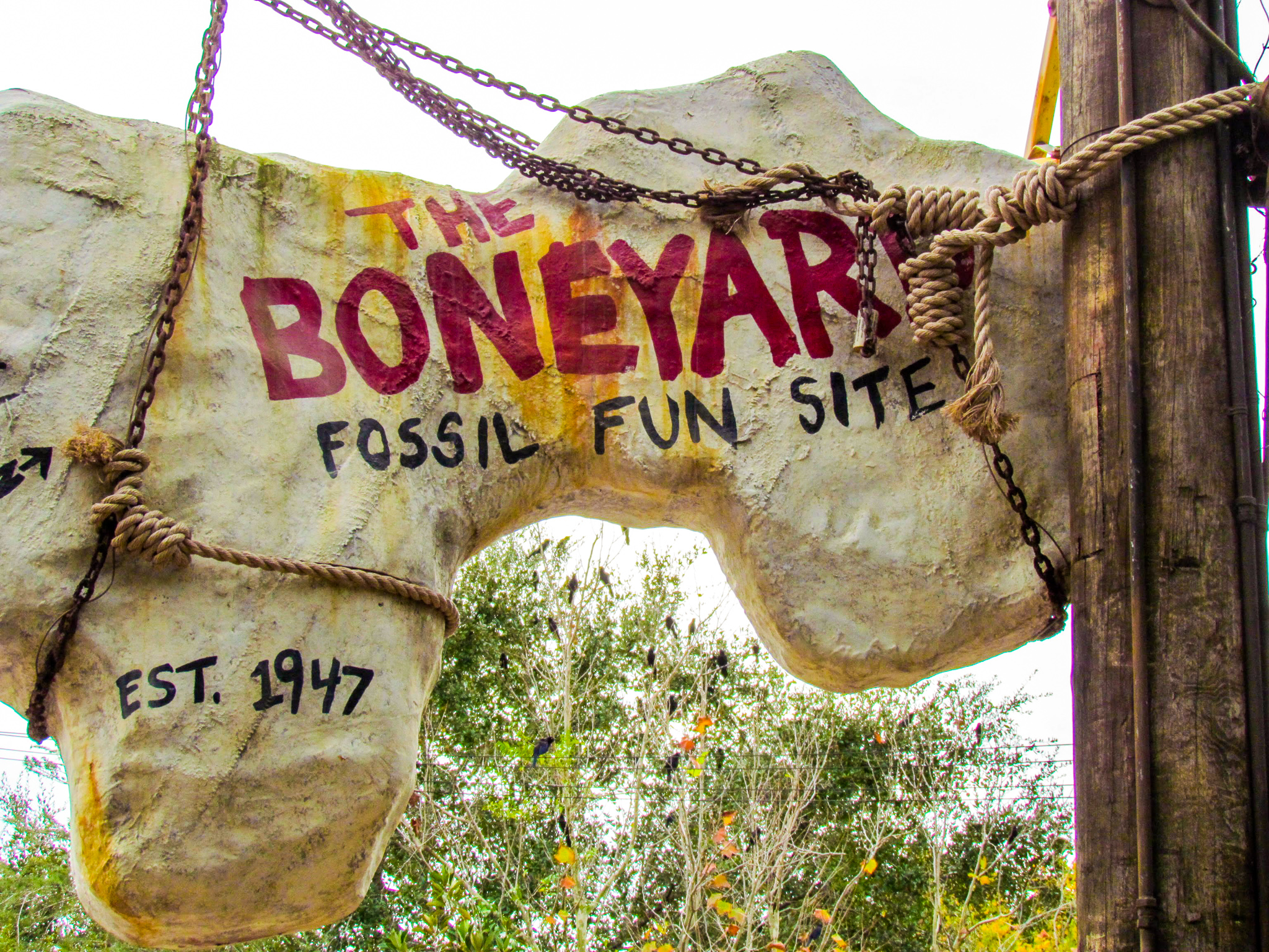 Sensory friendly activities in The Boneyard in Dinoland U.S.A at Disney's Animal Kingdom