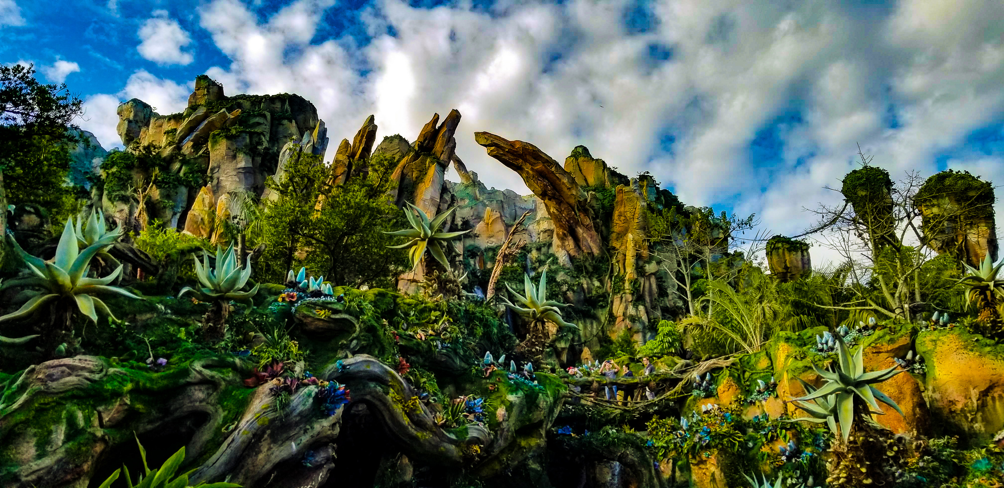 View of Pandora foliage in Animal Kingdom