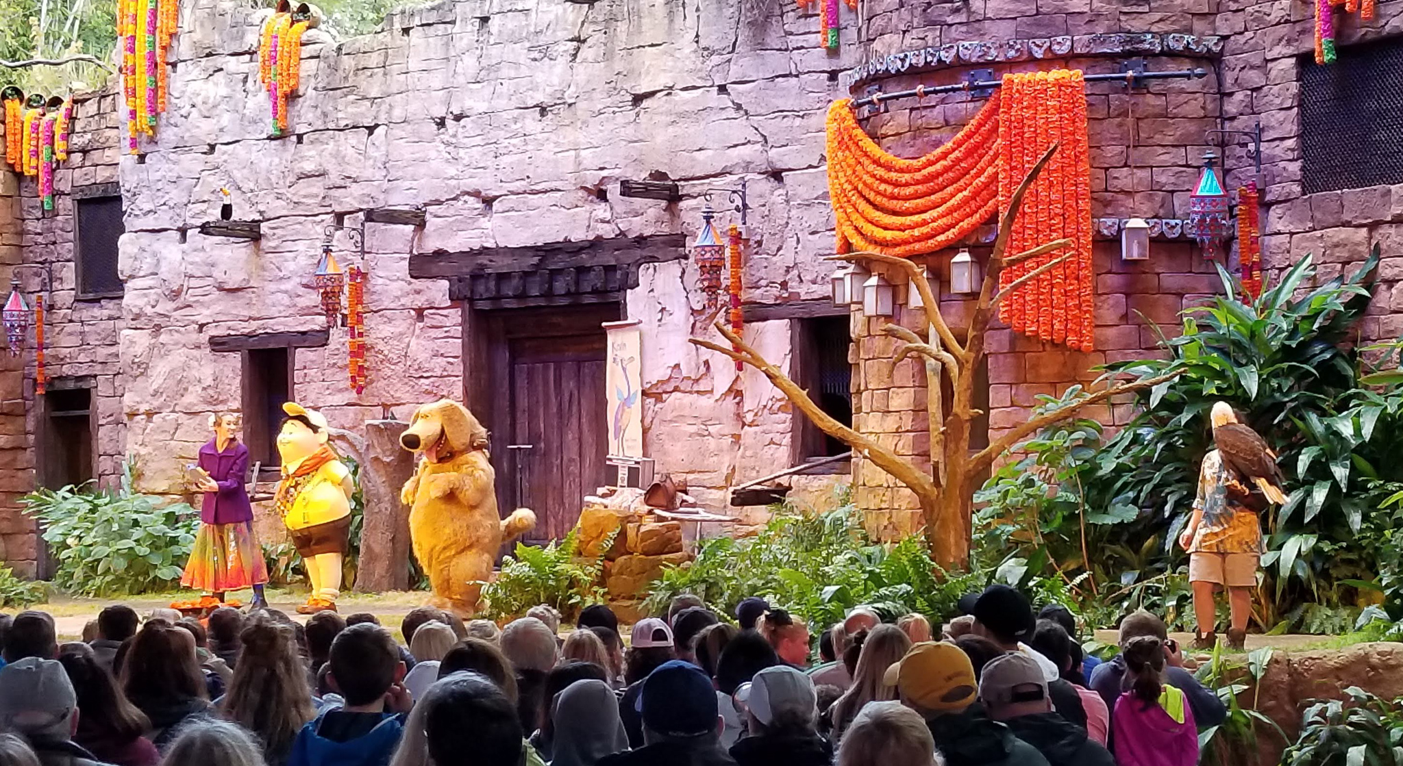 Cast performing Up! A Great Bird Adventure show in Animal Kingdom